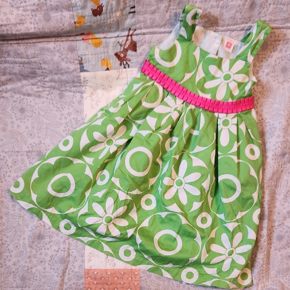 Carter's Green and Pink Floral Kids Dress